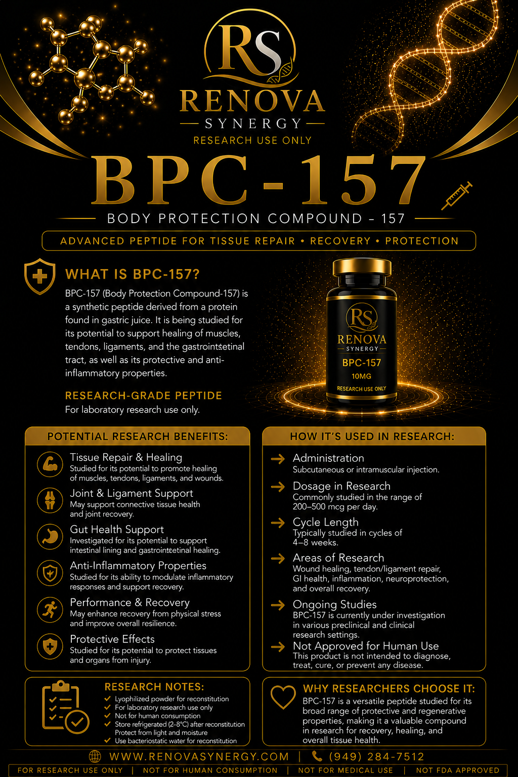BPC-157 - Image 2