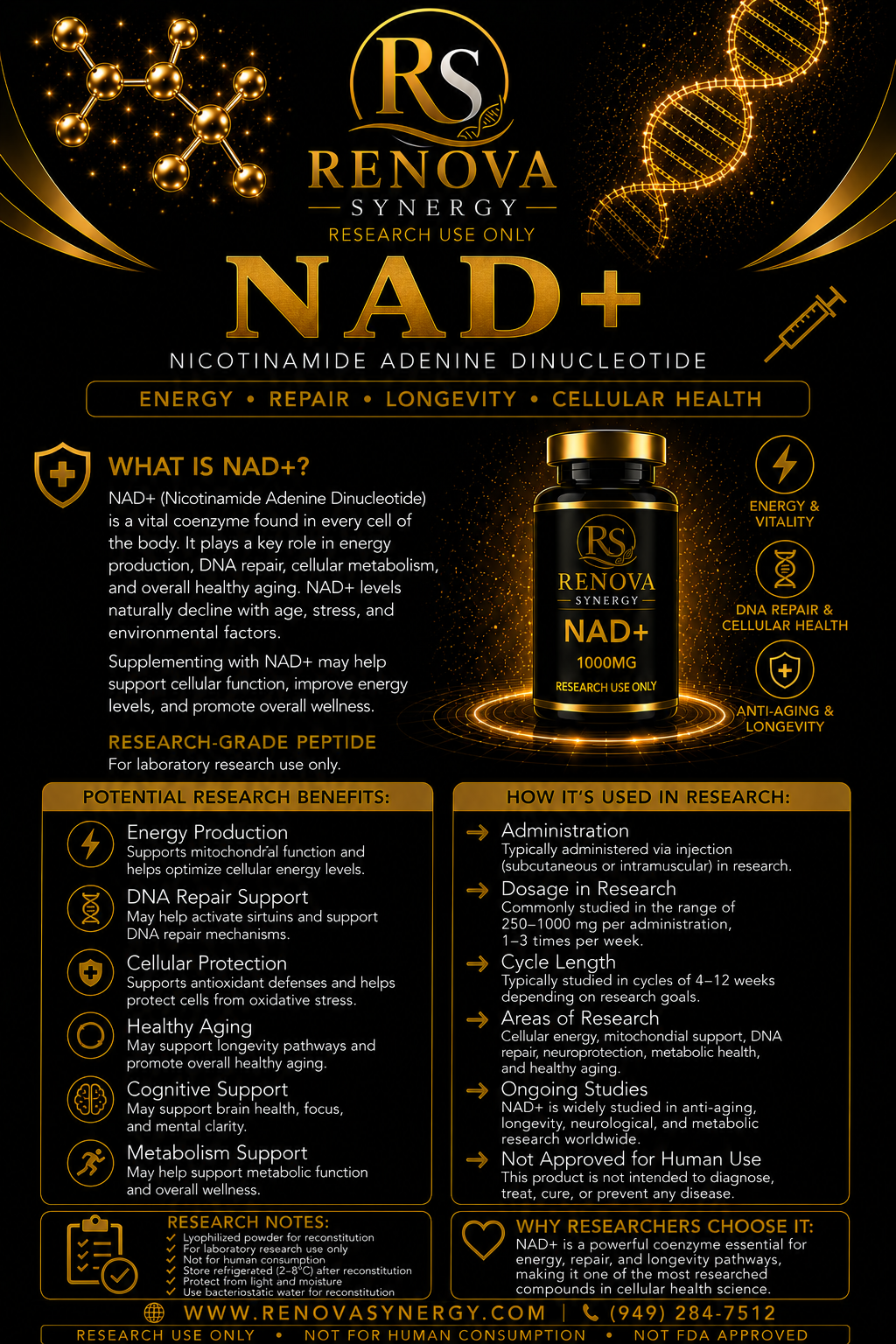 NAD+ - Image 2