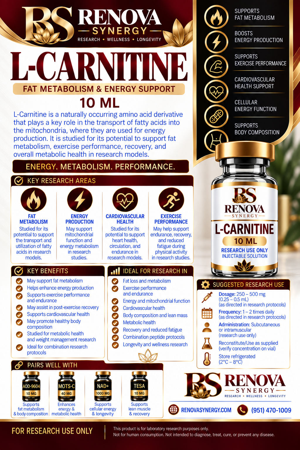 L-Carnitine - Image 2